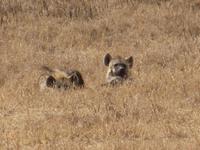 &copy; Britt Reuter-Bracklow (Eberhardt TRAVEL)