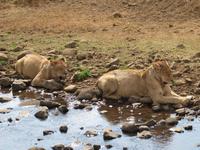 &copy; Britt Reuter-Bracklow (Eberhardt TRAVEL)
