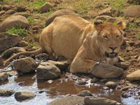 &copy; Britt Reuter-Bracklow (Eberhardt TRAVEL)