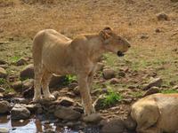 &copy; Britt Reuter-Bracklow (Eberhardt TRAVEL)