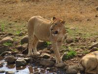 &copy; Britt Reuter-Bracklow (Eberhardt TRAVEL)