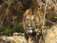 &copy; Britt Reuter-Bracklow (Eberhardt TRAVEL)