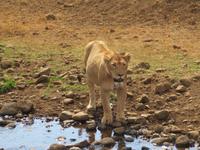 &copy; Britt Reuter-Bracklow (Eberhardt TRAVEL)