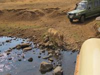 &copy; Britt Reuter-Bracklow (Eberhardt TRAVEL)