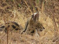 &copy; Britt Reuter-Bracklow (Eberhardt TRAVEL)