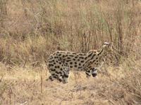 &copy; Britt Reuter-Bracklow (Eberhardt TRAVEL)