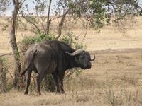 &copy; Britt Reuter-Bracklow (Eberhardt TRAVEL)