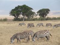 &copy; Britt Reuter-Bracklow (Eberhardt TRAVEL)