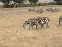 &copy; Britt Reuter-Bracklow (Eberhardt TRAVEL)