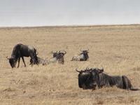 &copy; Britt Reuter-Bracklow (Eberhardt TRAVEL)