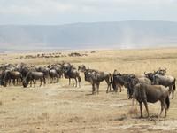 &copy; Britt Reuter-Bracklow (Eberhardt TRAVEL)