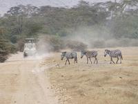 &copy; Britt Reuter-Bracklow (Eberhardt TRAVEL)