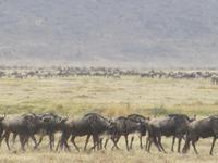 &copy; Britt Reuter-Bracklow (Eberhardt TRAVEL)