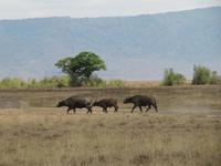 &copy; Britt Reuter-Bracklow (Eberhardt TRAVEL)