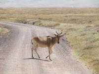 &copy; Britt Reuter-Bracklow (Eberhardt TRAVEL)