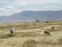 &copy; Britt Reuter-Bracklow (Eberhardt TRAVEL)