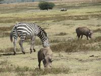 &copy; Britt Reuter-Bracklow (Eberhardt TRAVEL)