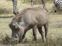 &copy; Britt Reuter-Bracklow (Eberhardt TRAVEL)