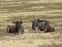 &copy; Britt Reuter-Bracklow (Eberhardt TRAVEL)
