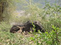 &copy; Britt Reuter-Bracklow (Eberhardt TRAVEL)