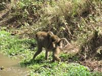 &copy; Britt Reuter-Bracklow (Eberhardt TRAVEL)