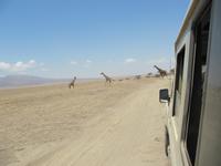&copy; Britt Reuter-Bracklow (Eberhardt TRAVEL)