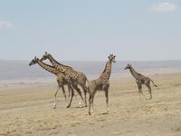 &copy; Britt Reuter-Bracklow (Eberhardt TRAVEL)