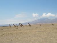 &copy; Britt Reuter-Bracklow (Eberhardt TRAVEL)