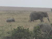 &copy; Britt Reuter-Bracklow (Eberhardt TRAVEL)