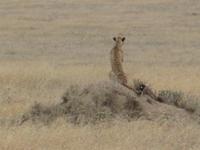 &copy; Britt Reuter-Bracklow (Eberhardt TRAVEL)