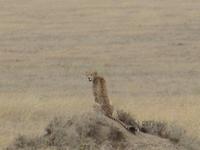 &copy; Britt Reuter-Bracklow (Eberhardt TRAVEL)