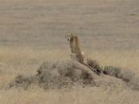&copy; Britt Reuter-Bracklow (Eberhardt TRAVEL)