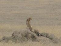 &copy; Britt Reuter-Bracklow (Eberhardt TRAVEL)