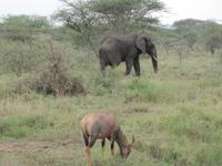&copy; Britt Reuter-Bracklow (Eberhardt TRAVEL)