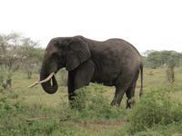 &copy; Britt Reuter-Bracklow (Eberhardt TRAVEL)