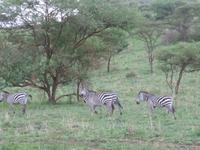 &copy; Britt Reuter-Bracklow (Eberhardt TRAVEL)