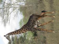 &copy; Britt Reuter-Bracklow (Eberhardt TRAVEL)