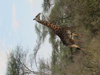 &copy; Britt Reuter-Bracklow (Eberhardt TRAVEL)