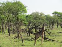 &copy; Britt Reuter-Bracklow (Eberhardt TRAVEL)