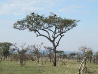 &copy; Britt Reuter-Bracklow (Eberhardt TRAVEL)