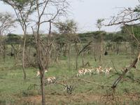 &copy; Britt Reuter-Bracklow (Eberhardt TRAVEL)