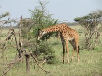 &copy; Britt Reuter-Bracklow (Eberhardt TRAVEL)