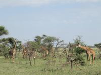 &copy; Britt Reuter-Bracklow (Eberhardt TRAVEL)
