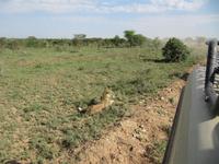 &copy; Britt Reuter-Bracklow (Eberhardt TRAVEL)