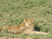 &copy; Britt Reuter-Bracklow (Eberhardt TRAVEL)