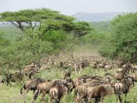 &copy; Britt Reuter-Bracklow (Eberhardt TRAVEL)
