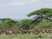 &copy; Britt Reuter-Bracklow (Eberhardt TRAVEL)