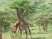 &copy; Britt Reuter-Bracklow (Eberhardt TRAVEL)