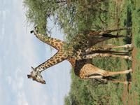 &copy; Britt Reuter-Bracklow (Eberhardt TRAVEL)