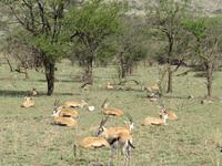 &copy; Britt Reuter-Bracklow (Eberhardt TRAVEL)